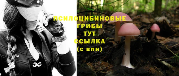 меф Алзамай