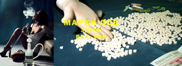 PSILOCYBIN Алексеевка