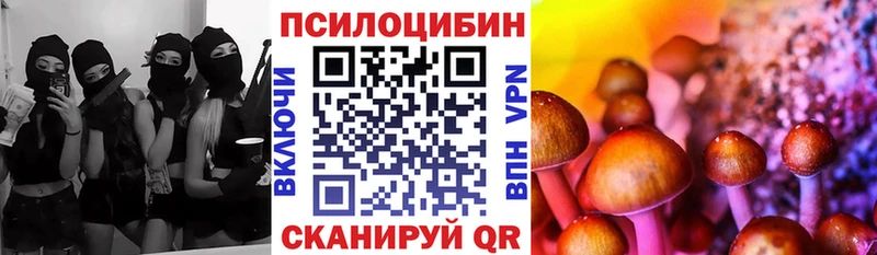 Псилоцибиновые грибы прущие грибы Тейково